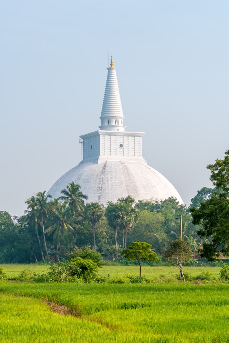 The Ancient Heart of Sri Lanka