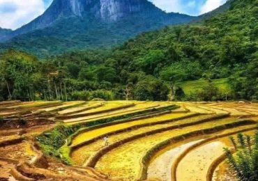 WhatsApp Image 2026-04-06 at 12.43.54 PM