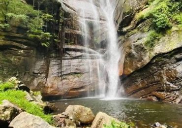 WhatsApp Image 2026-04-06 at 12.43.56 PM