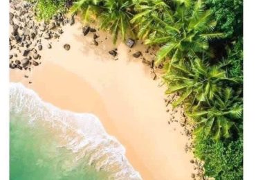 WhatsApp Image 2026-04-06 at 12.43.57 PM (1)