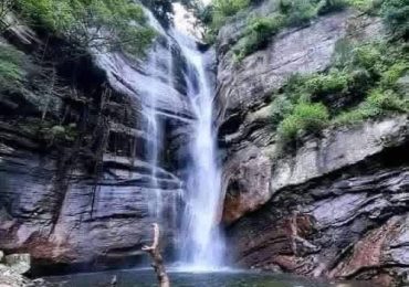 WhatsApp Image 2026-04-06 at 12.43.57 PM