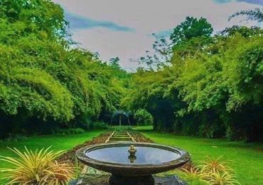 WhatsApp Image 2026-04-06 at 12.43.59 PM (1)